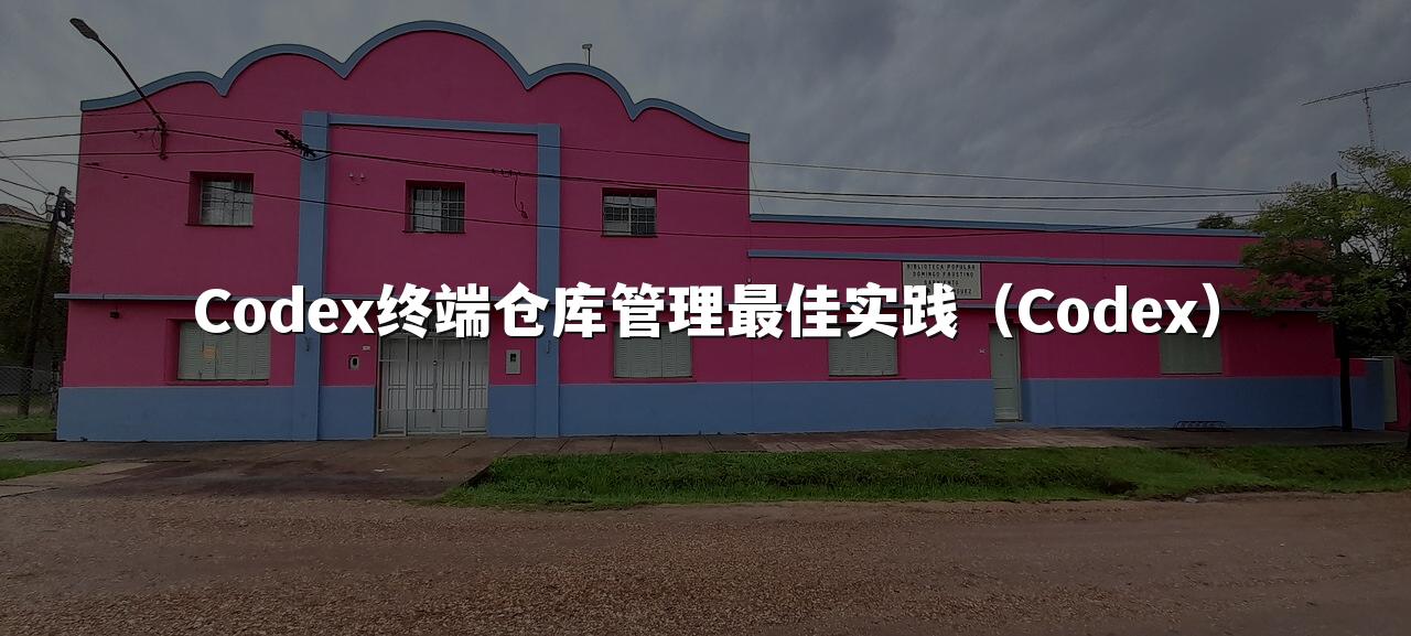 Codex终端仓库管理最佳实践（Codex）