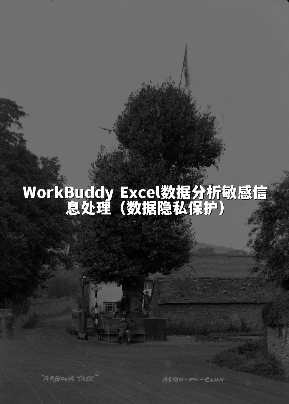 WorkBuddy Excel数据分析敏感信息处理（数据隐私保护）