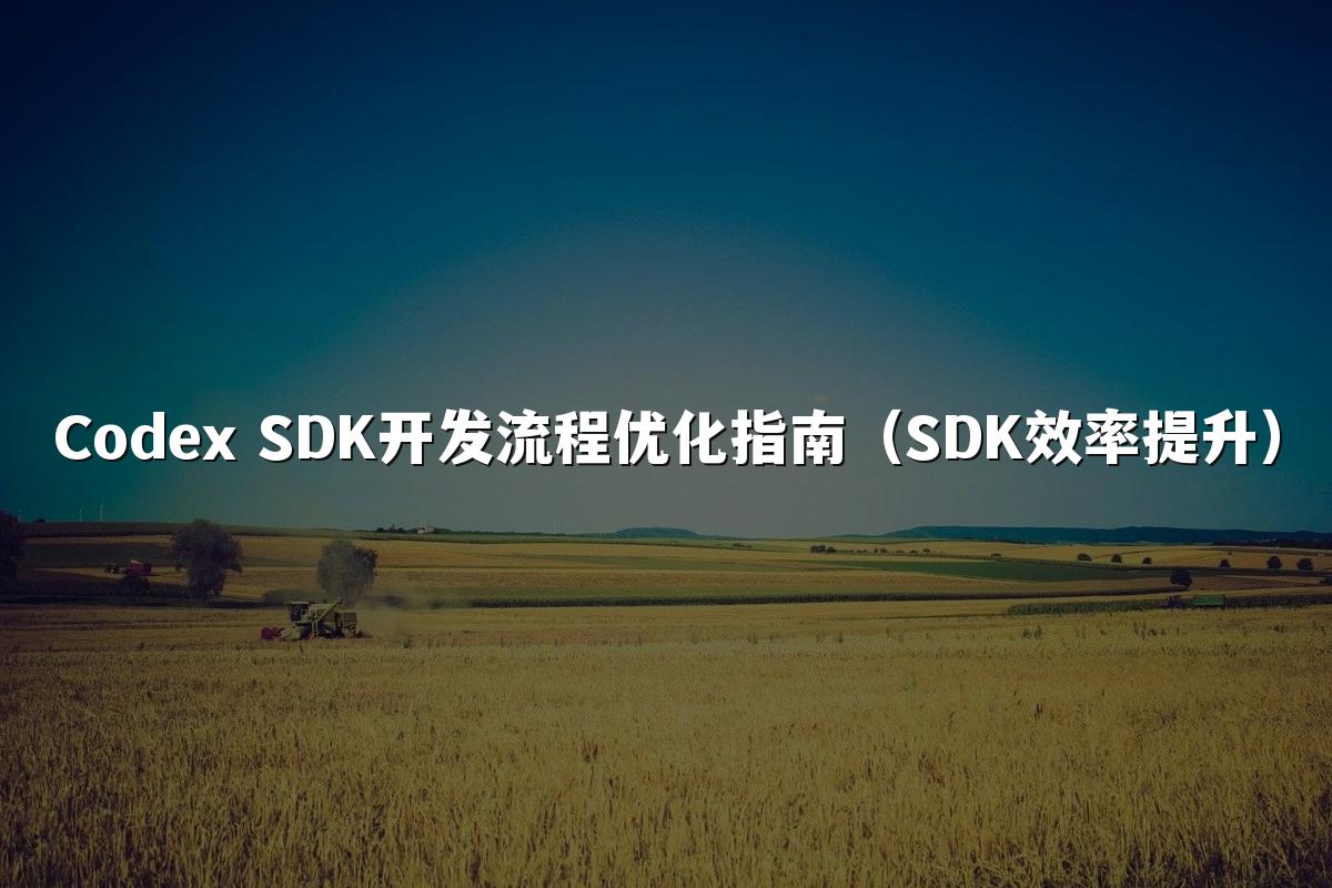 Codex SDK开发流程优化指南（SDK效率提升）
