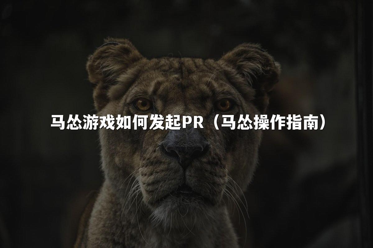 马怂游戏如何发起PR（马怂操作指南）
