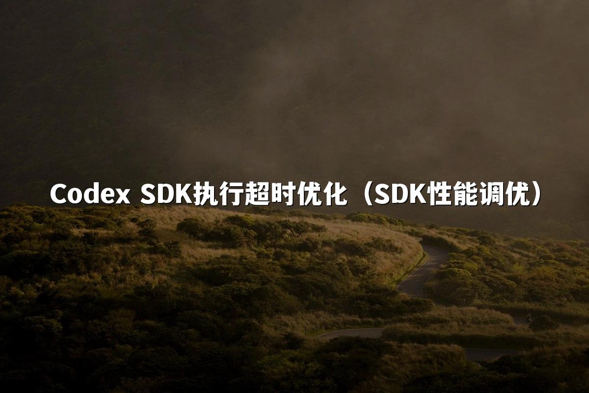 Codex SDK执行超时优化（SDK性能调优）