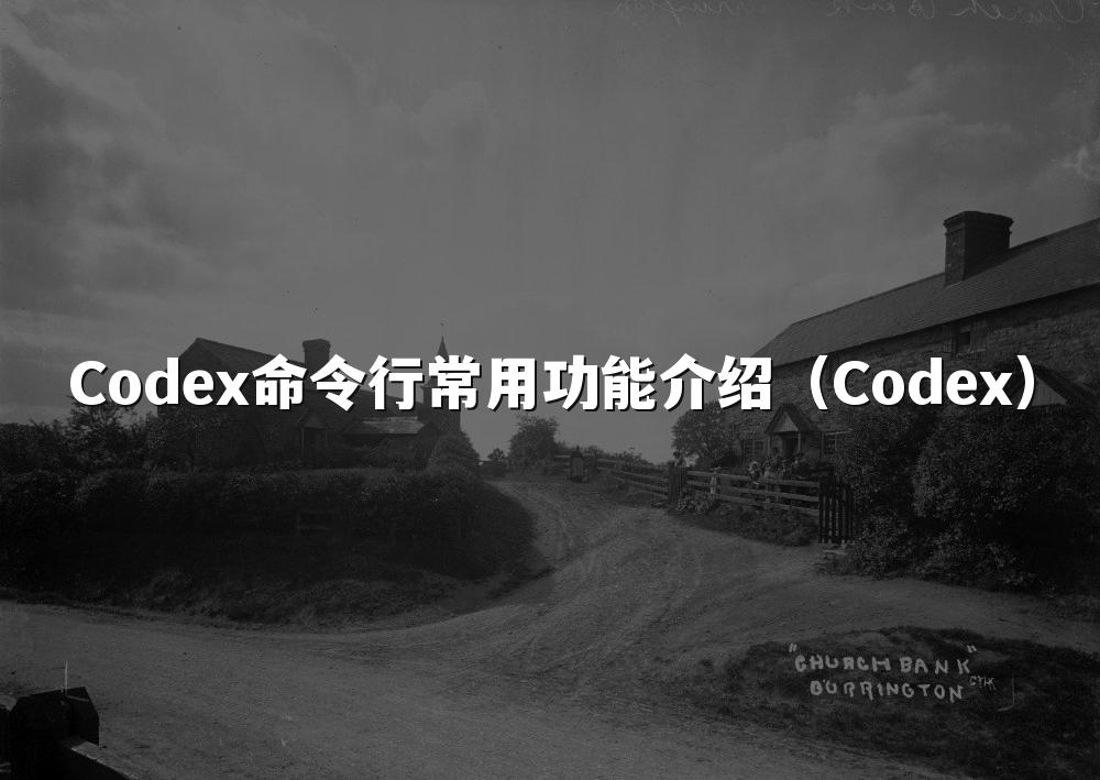 Codex命令行常用功能介绍(Codex)
