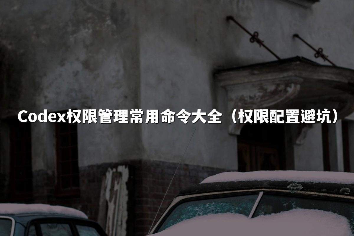 Codex权限管理常用命令大全（权限配置避坑）