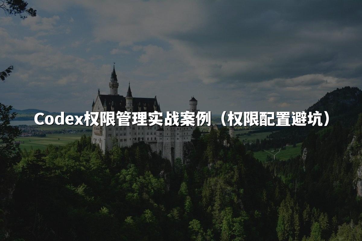 Codex权限管理实战案例（权限配置避坑）