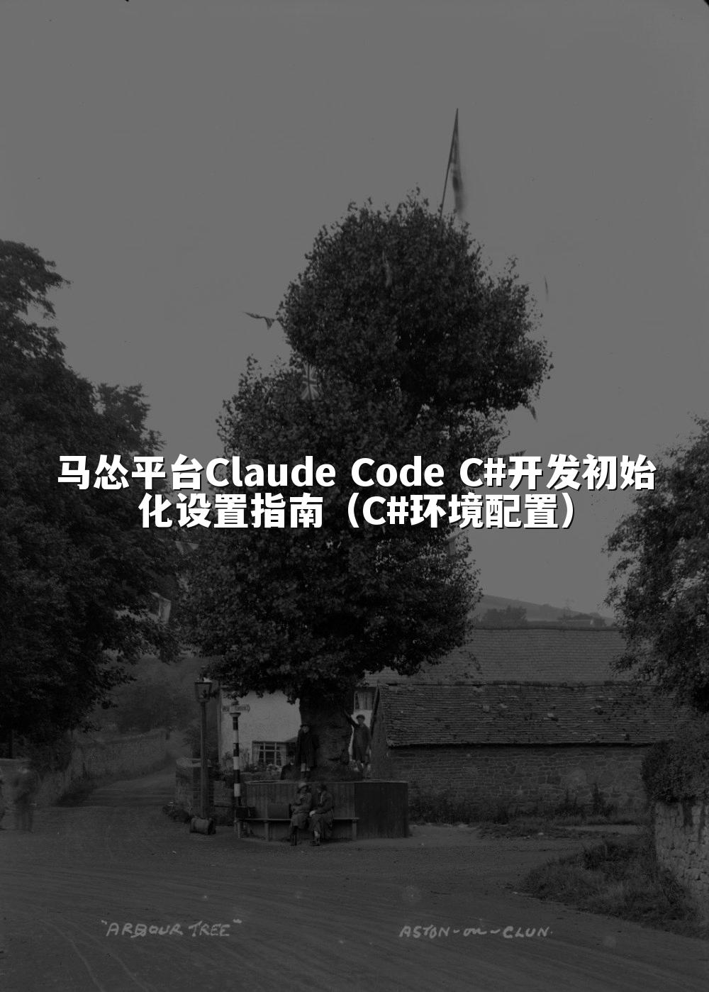 马怂平台Claude Code C#开发初始化设置指南（C#环境配置）