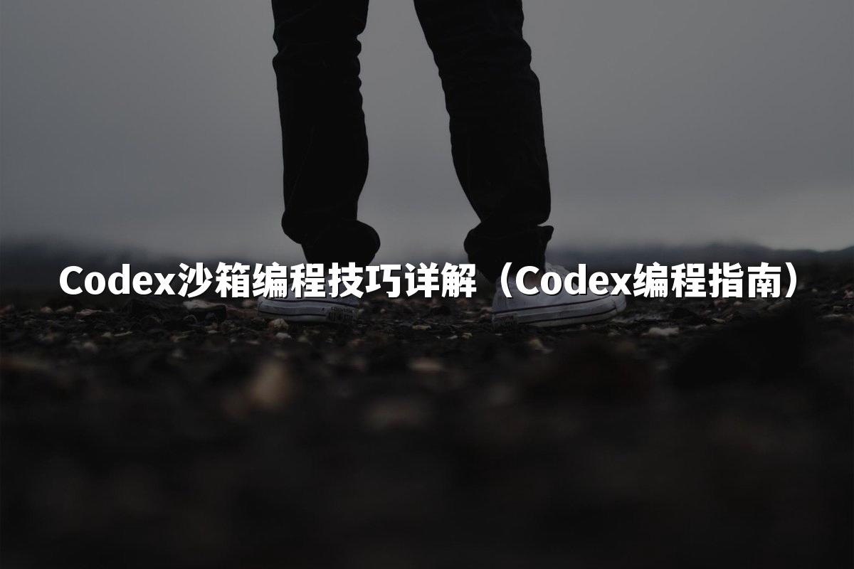 Codex沙箱编程技巧详解（Codex编程指南）