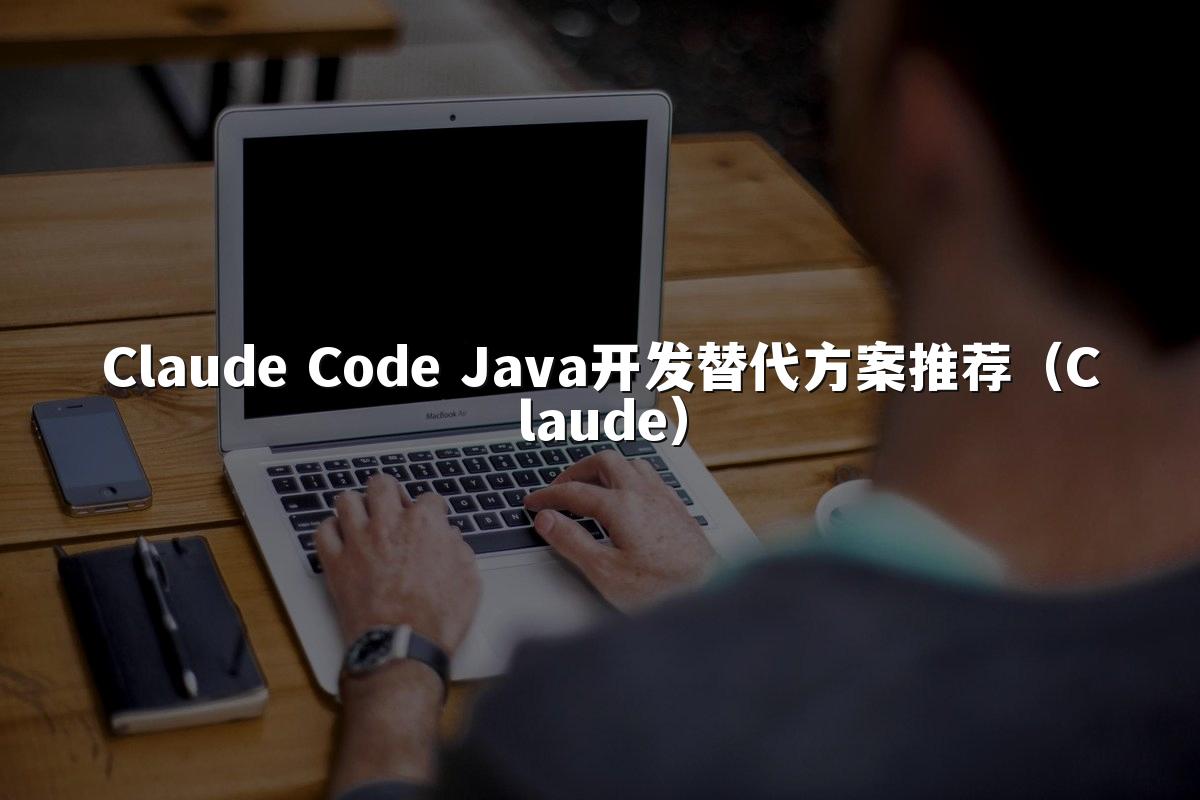 Claude Code Java开发替代方案推荐(Claude)