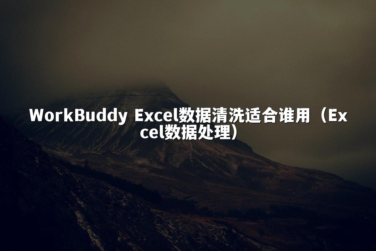 WorkBuddy Excel数据清洗适合谁用(Excel数据处理)