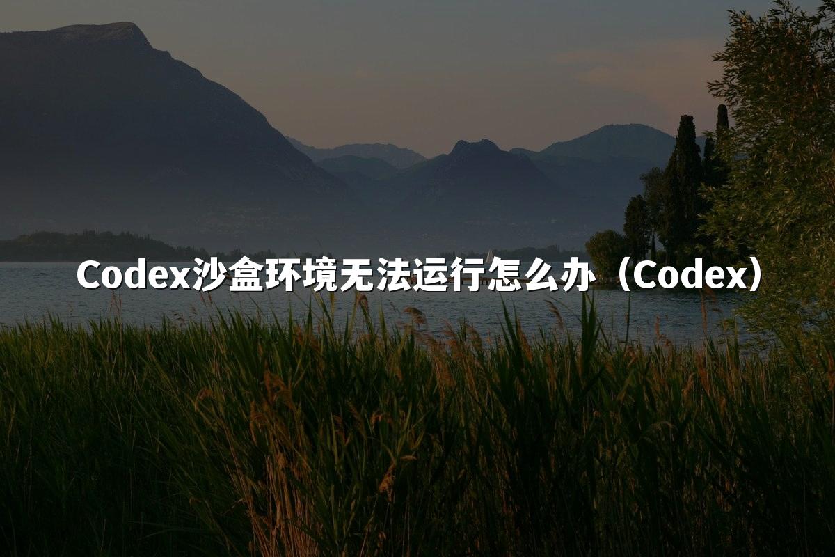Codex沙盒环境无法运行怎么办（Codex）