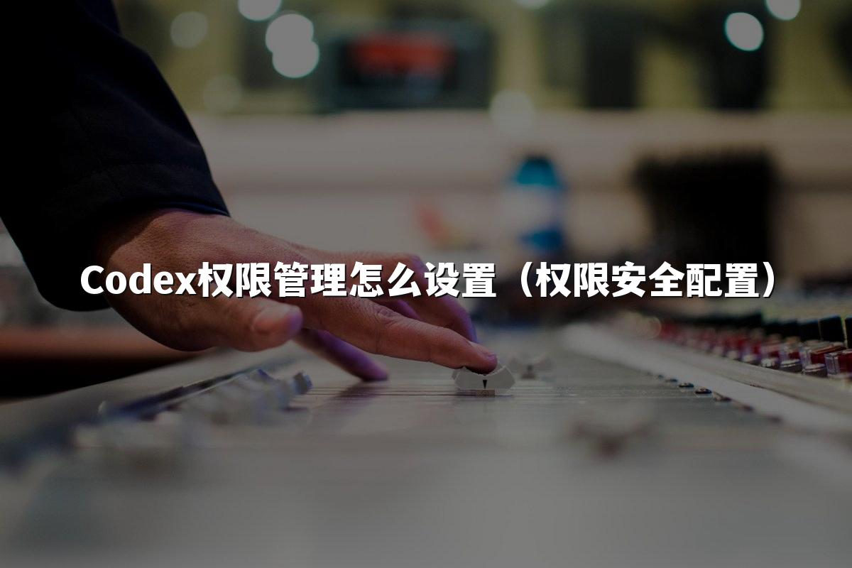 Codex权限管理怎么设置(权限安全配置)
