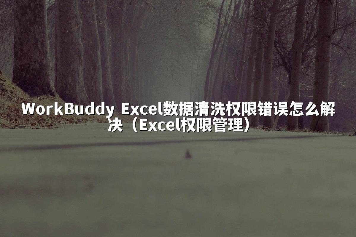WorkBuddy Excel数据清洗权限错误怎么解决(Excel权限管理)