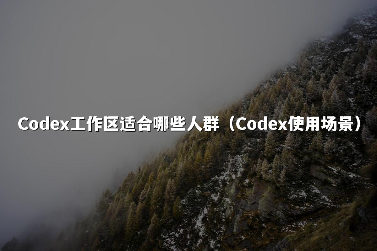 Codex工作区适合哪些人群（Codex使用场景）