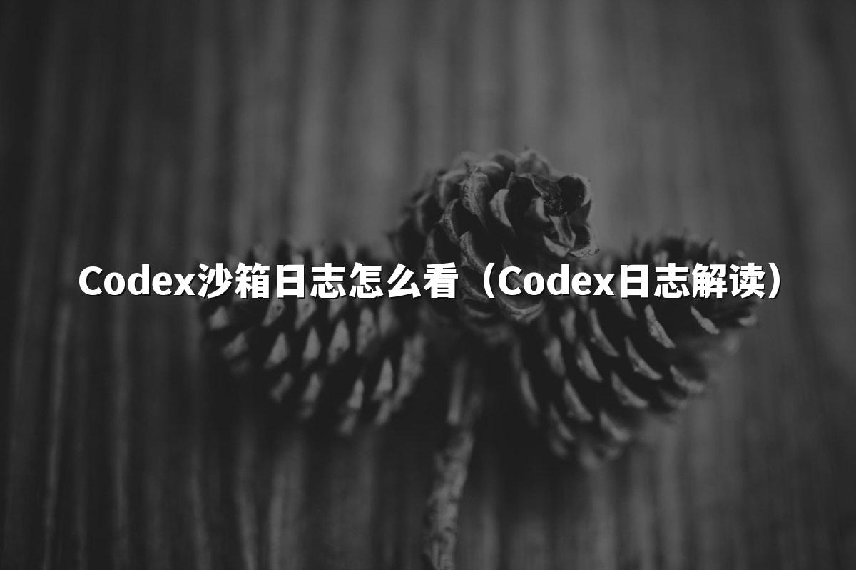 Codex沙箱日志怎么看（Codex日志解读）