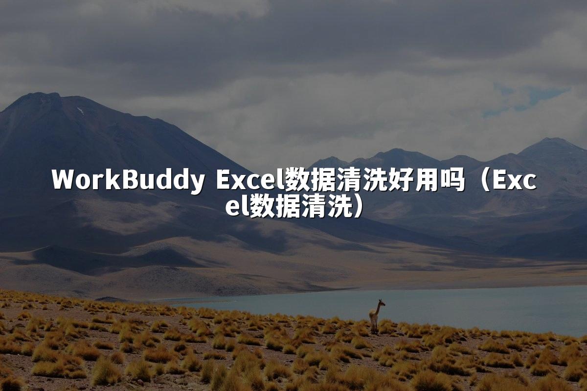 WorkBuddy Excel数据清洗好用吗（Excel数据清洗）