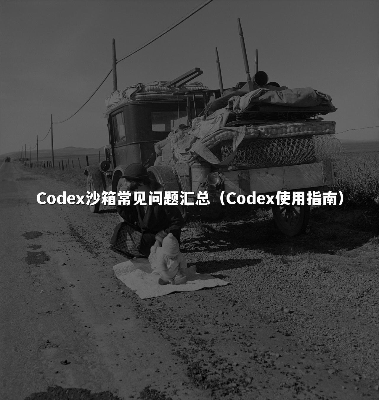 Codex沙箱常见问题汇总(Codex使用指南)