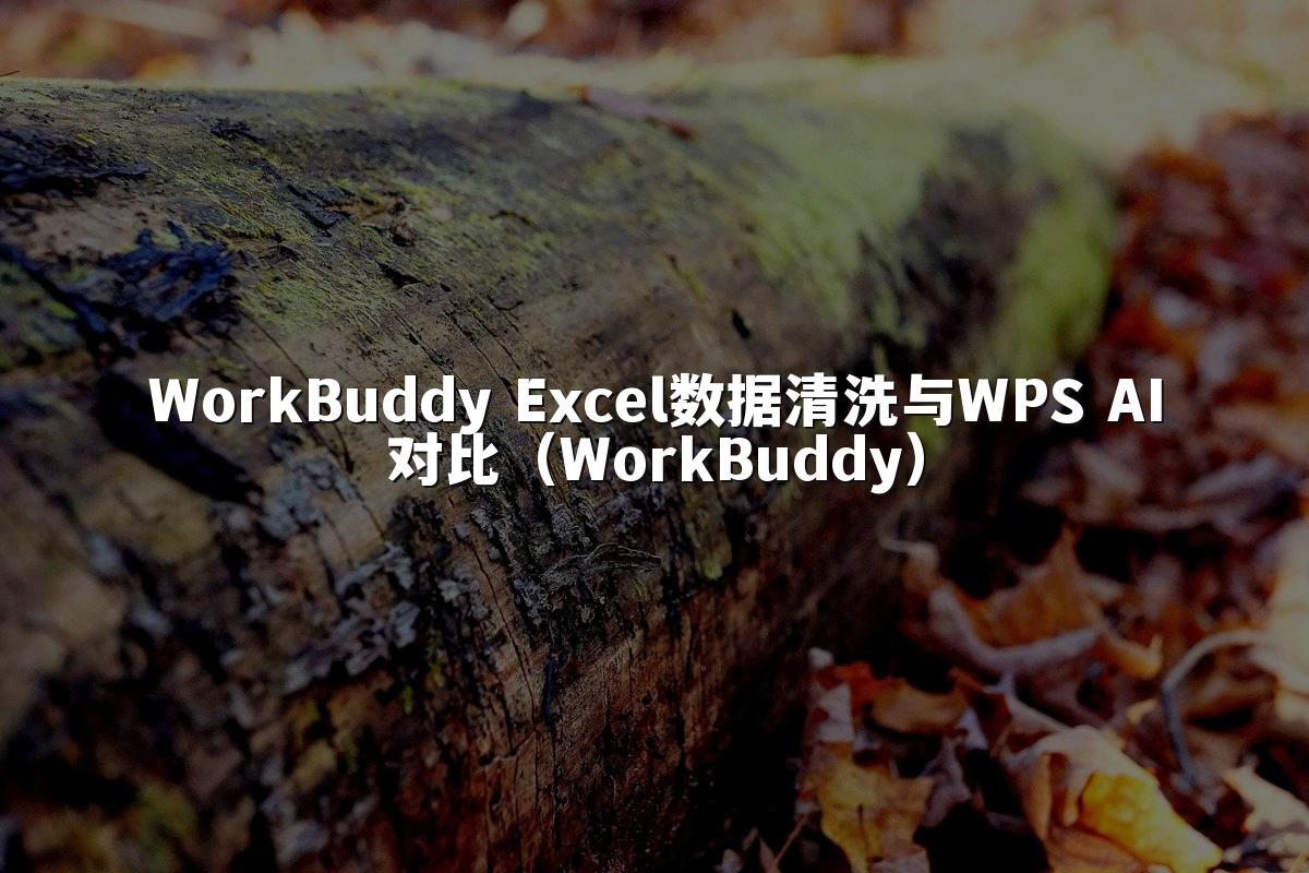 WorkBuddy Excel数据清洗与WPS AI对比（WorkBuddy）