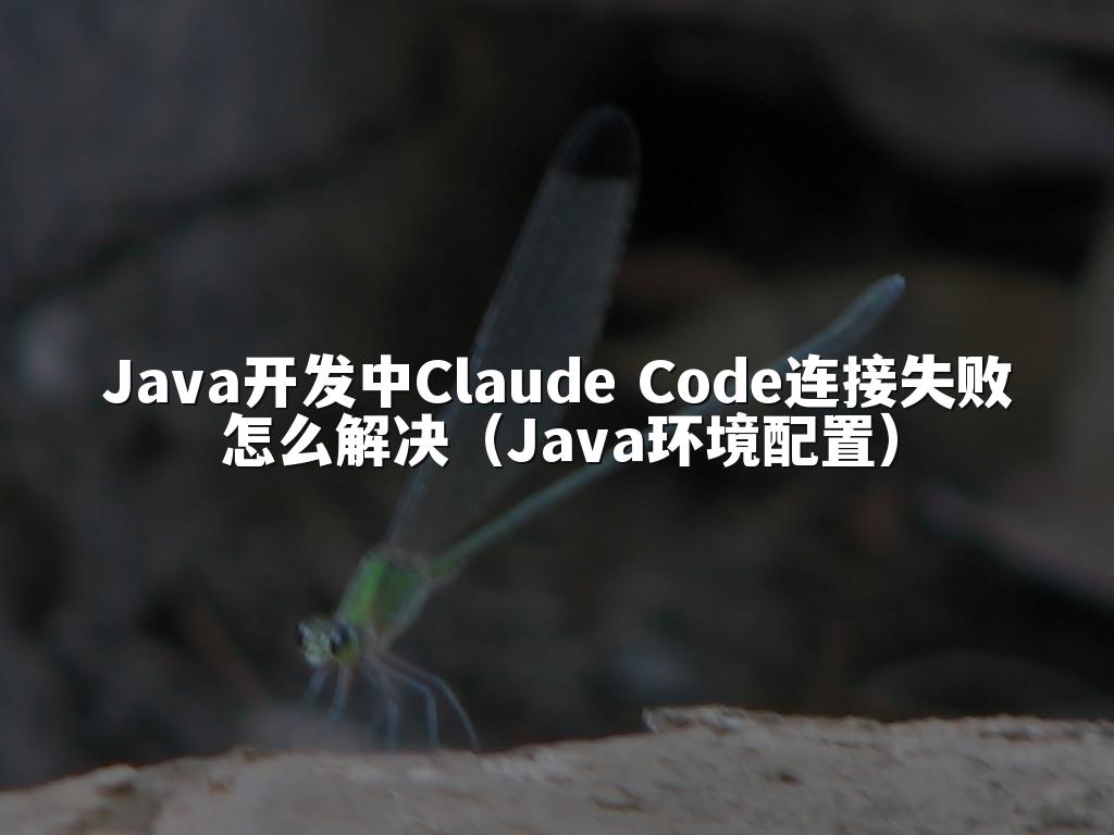 Java开发中Claude Code连接失败怎么解决(Java环境配置)