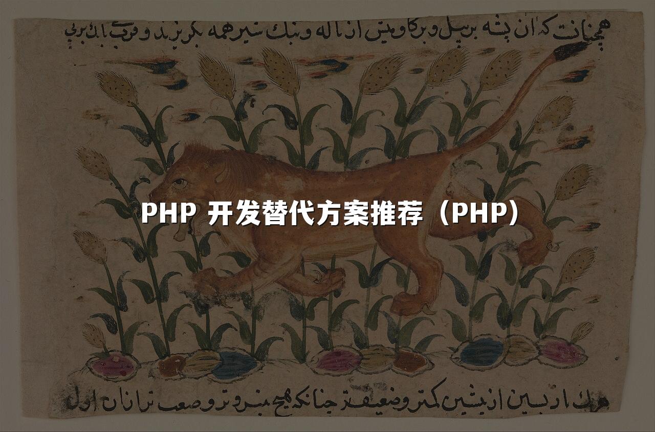 PHP 开发替代方案推荐（PHP）