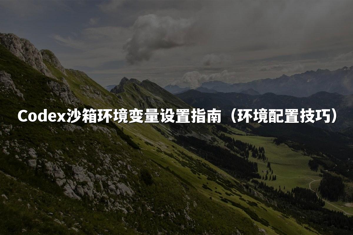 Codex沙箱环境变量设置指南(环境配置技巧)