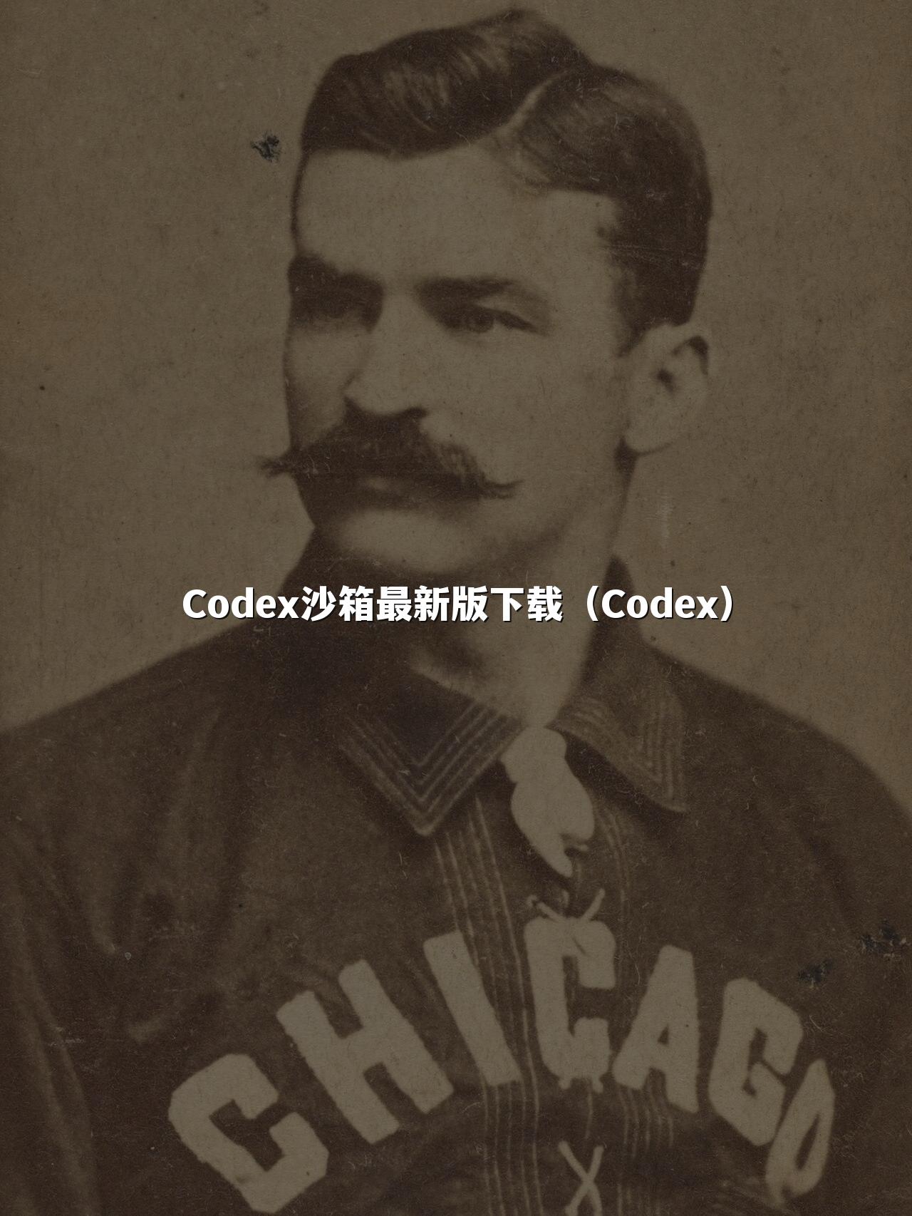 Codex沙箱最新版下载(Codex)