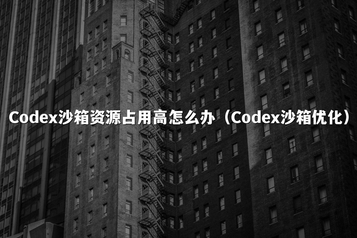 Codex沙箱资源占用高怎么办(Codex沙箱优化)