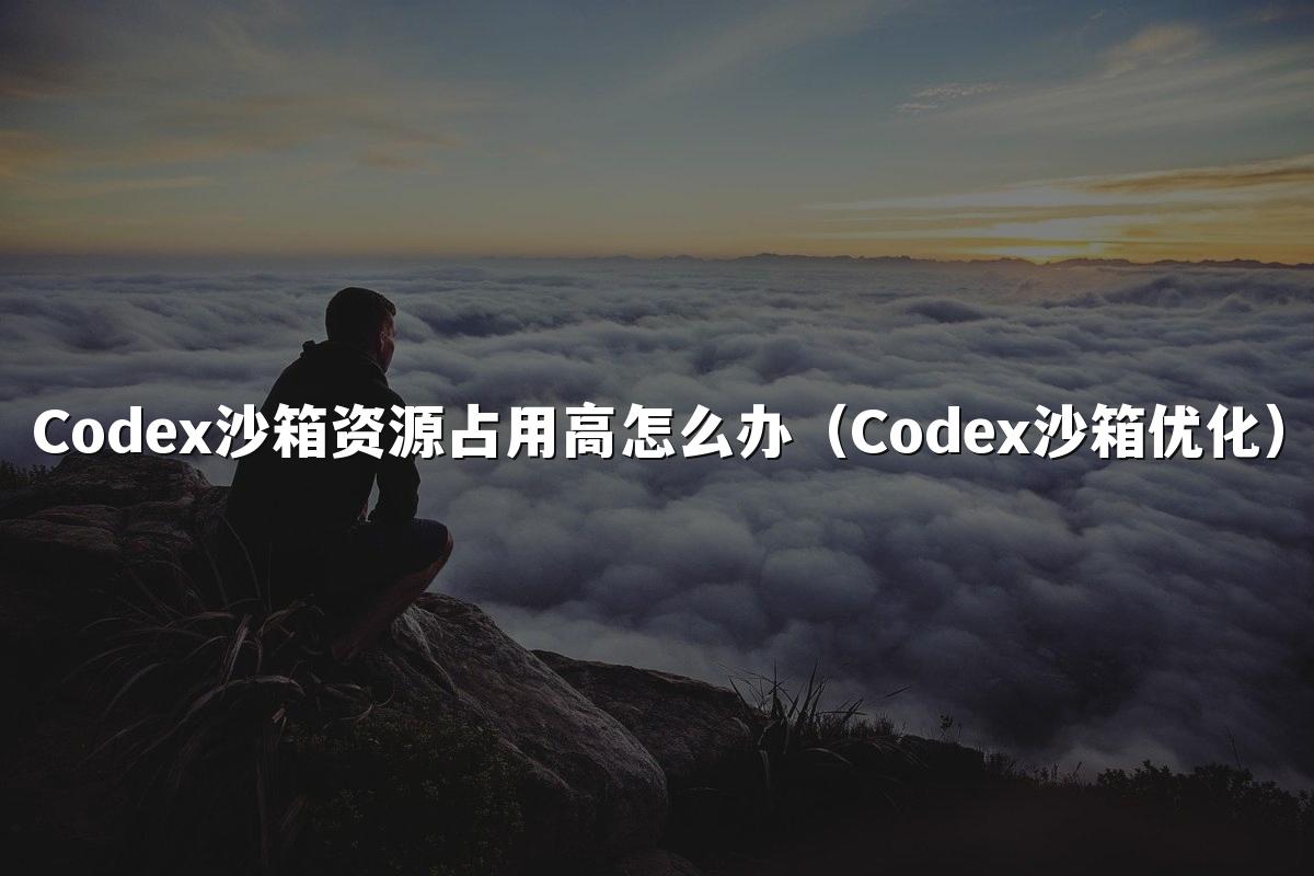 Codex沙箱资源占用高怎么办（Codex沙箱优化）