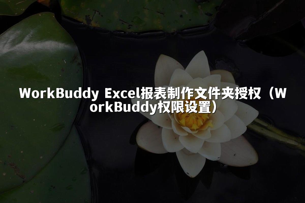 WorkBuddy Excel报表制作文件夹授权(WorkBuddy权限设置)