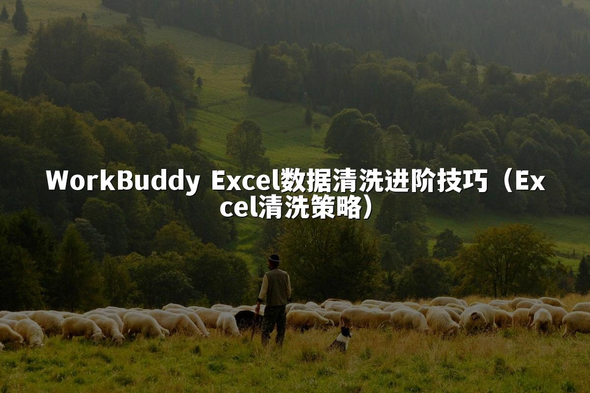 WorkBuddy Excel数据清洗进阶技巧（Excel清洗策略）