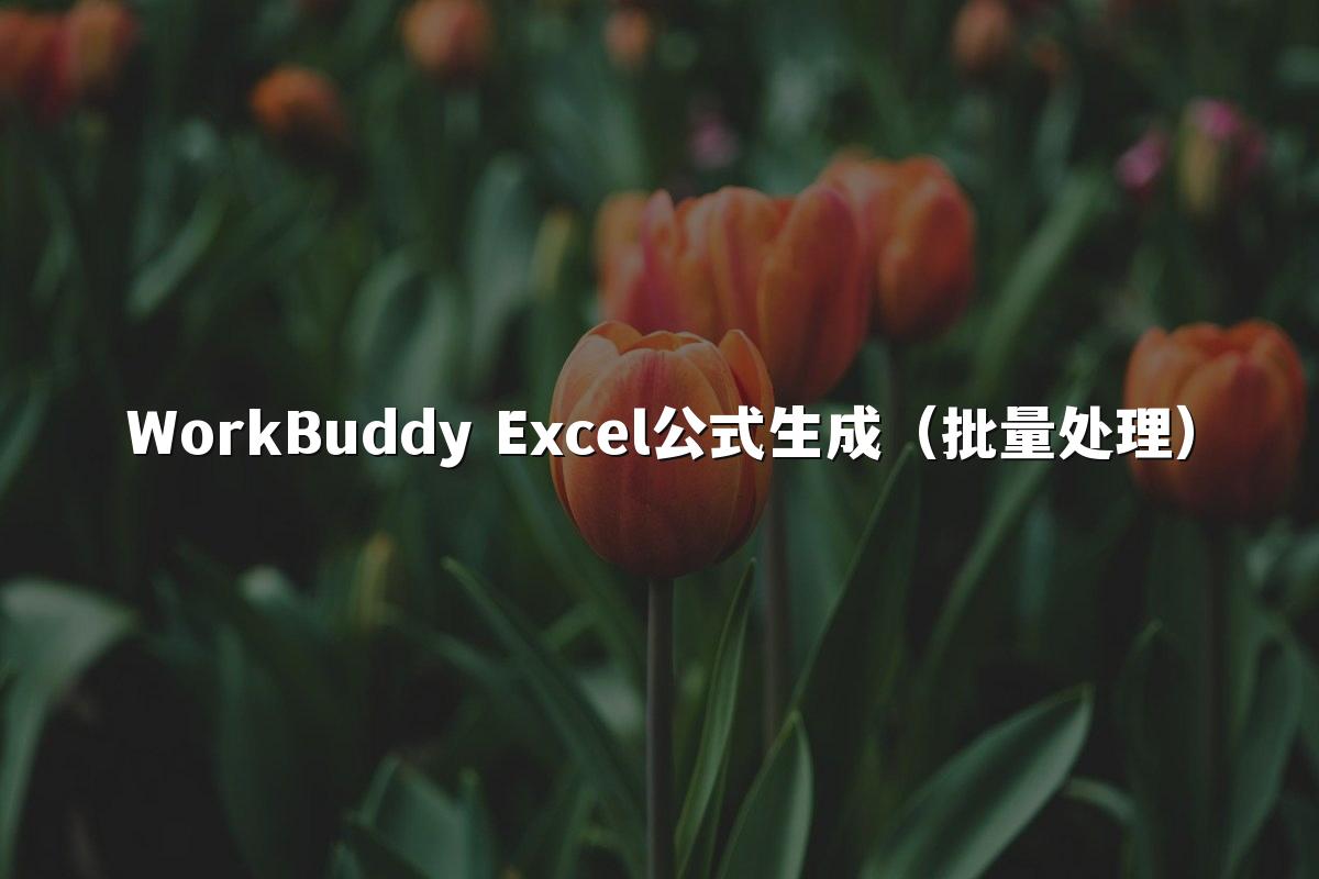 WorkBuddy Excel公式生成(批量处理)