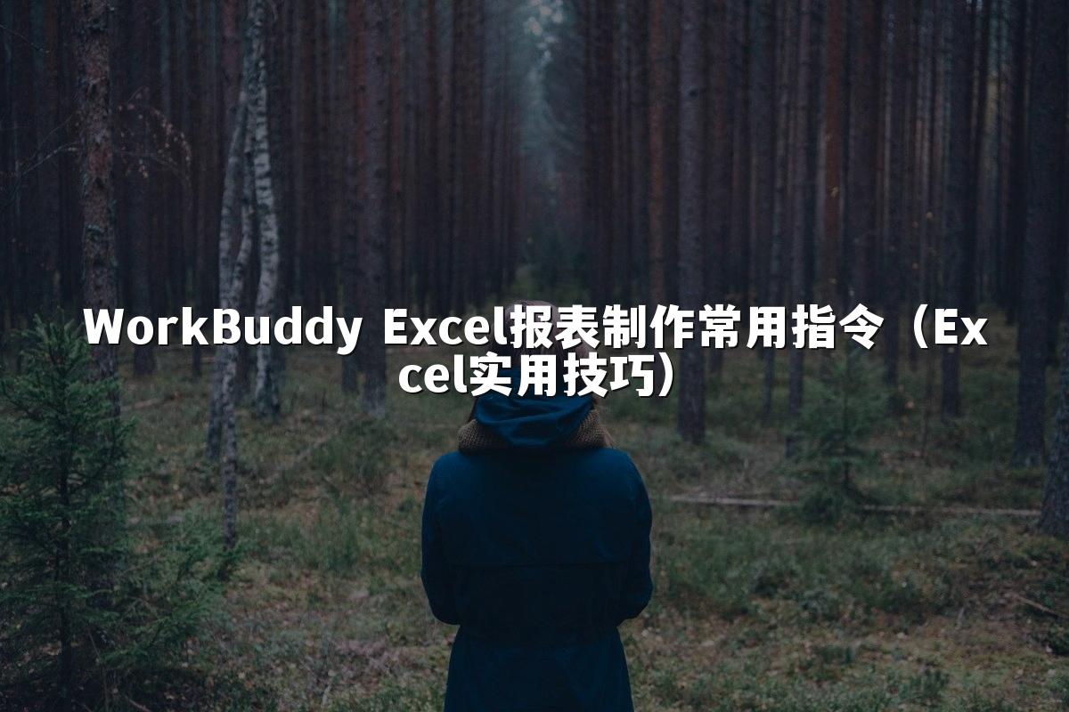 WorkBuddy Excel报表制作常用指令(Excel实用技巧)