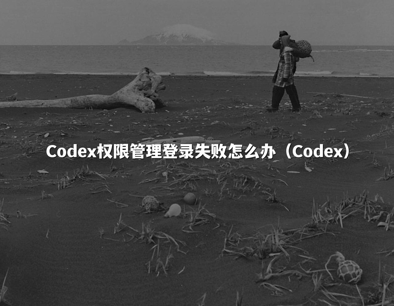 Codex权限管理登录失败怎么办（Codex）
