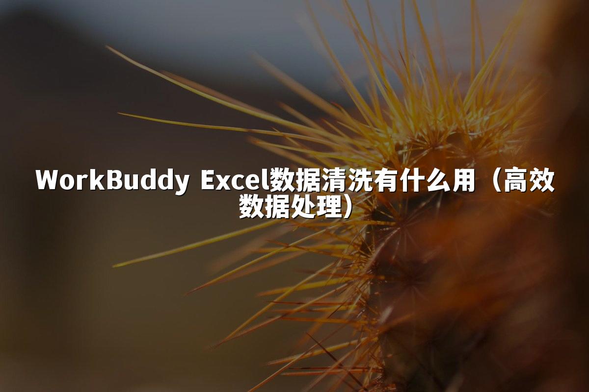 WorkBuddy Excel数据清洗有什么用（高效数据处理）