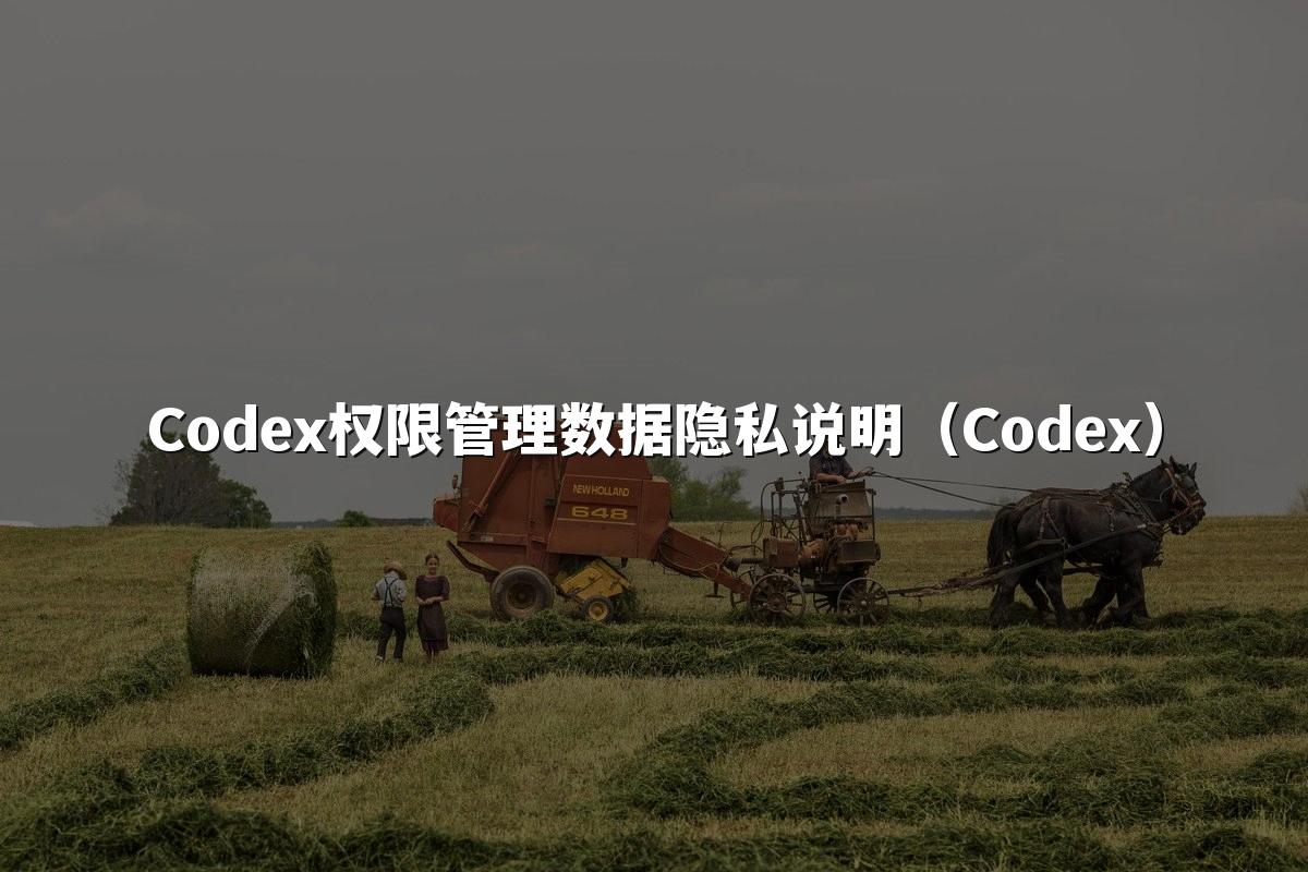 Codex权限管理数据隐私说明（Codex）