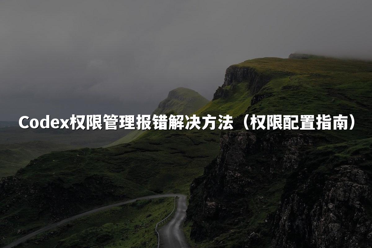 Codex权限管理报错解决方法（权限配置指南）