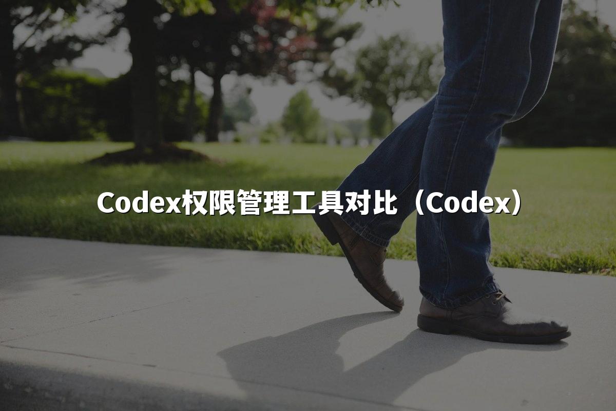 Codex权限管理工具对比（Codex）