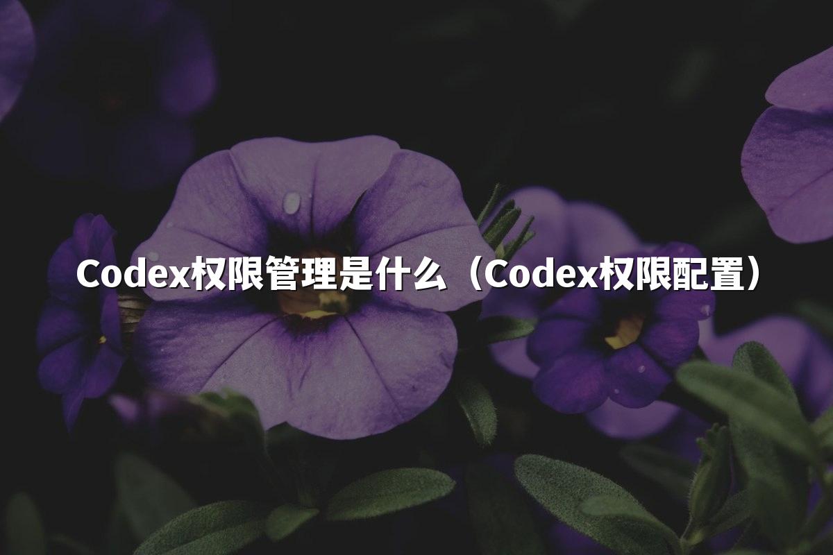 Codex权限管理是什么(Codex权限配置)