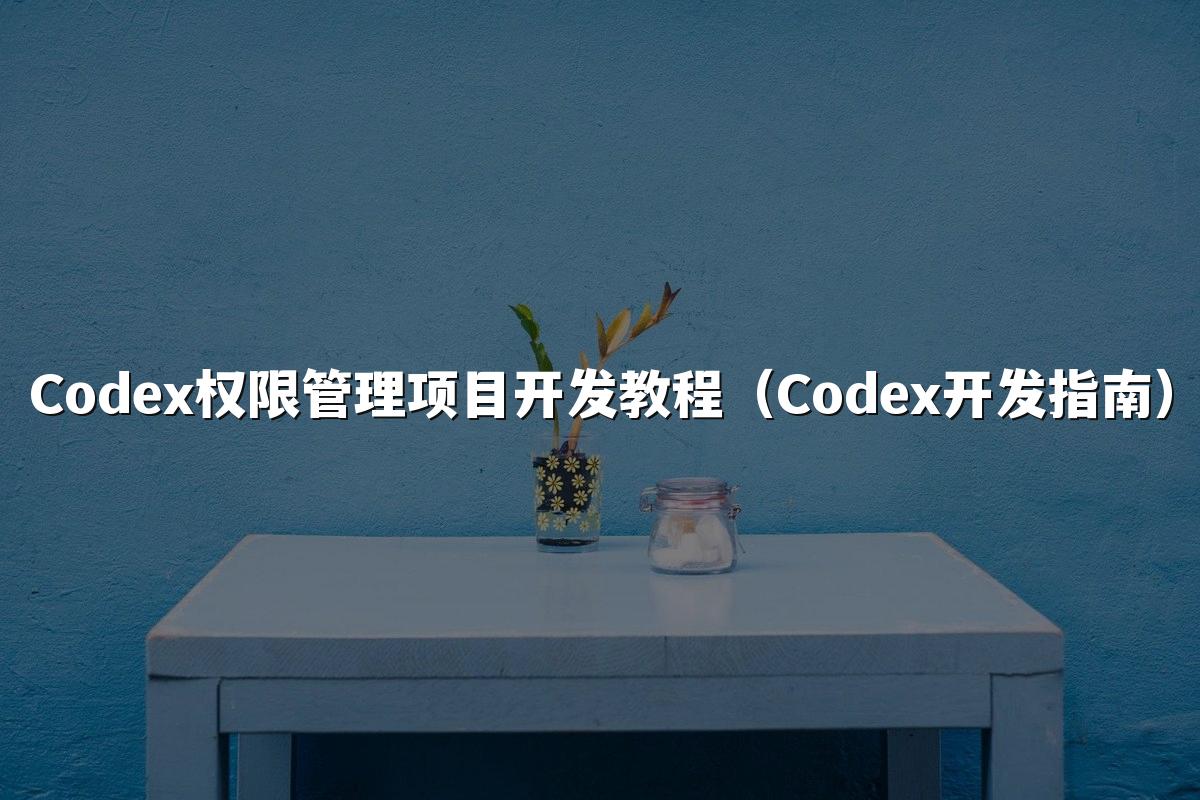 Codex权限管理项目开发教程（Codex开发指南）