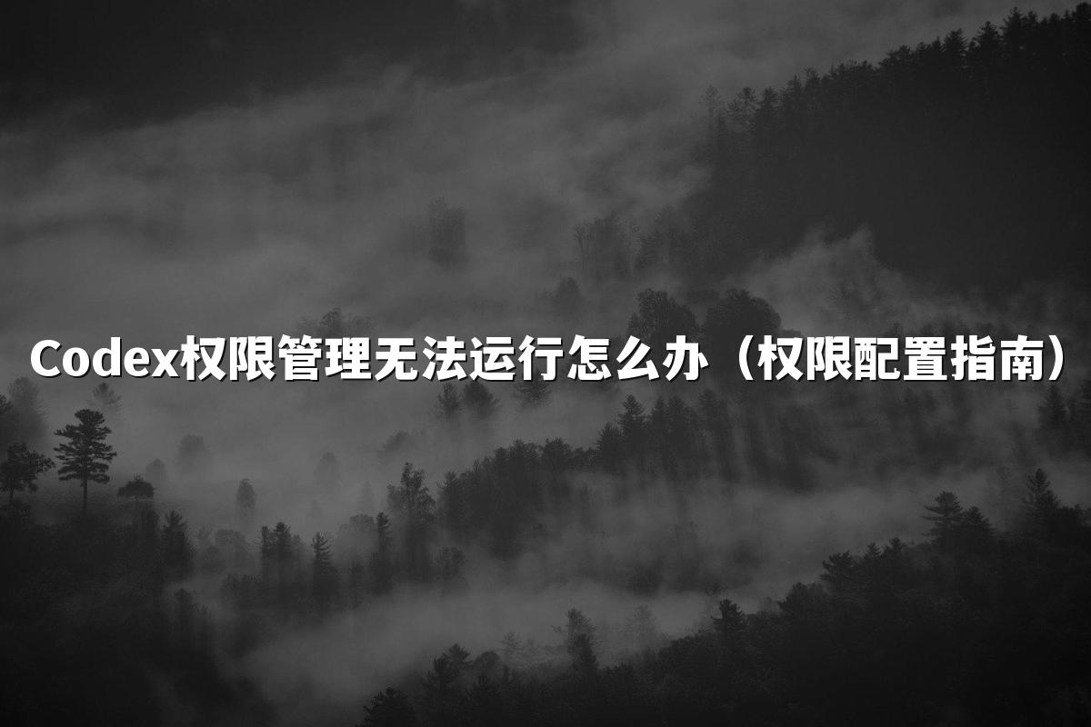 Codex权限管理无法运行怎么办（权限配置指南）