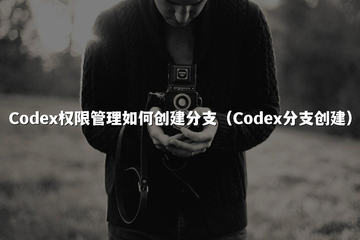 Codex权限管理如何创建分支（Codex分支创建）