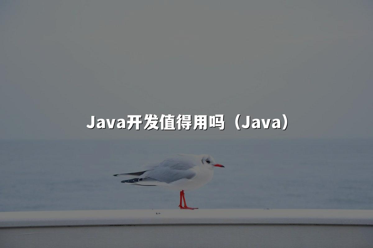 Java开发值得用吗(Java)