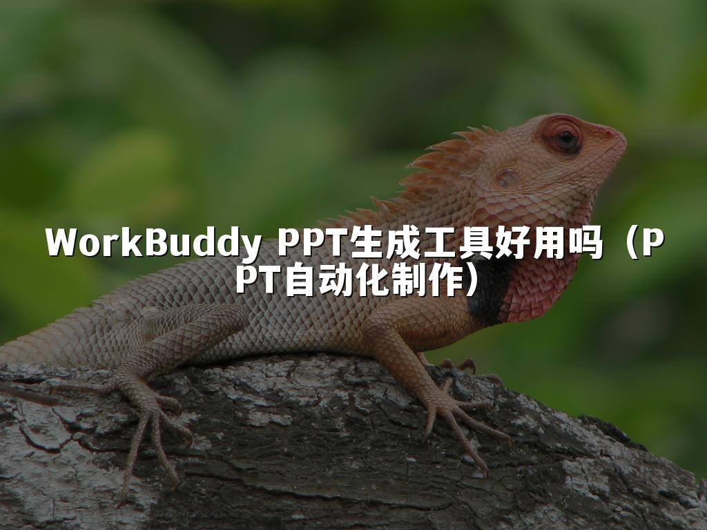 WorkBuddy PPT生成工具好用吗(PPT自动化制作)