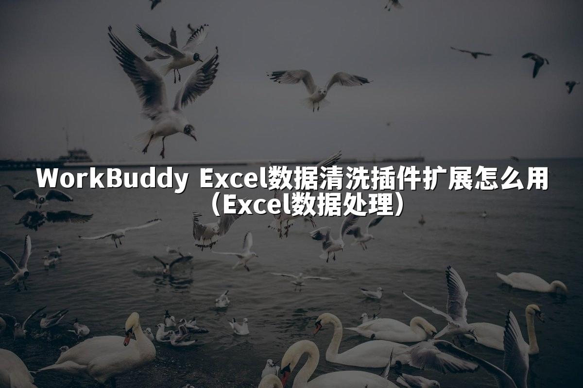WorkBuddy Excel数据清洗插件扩展怎么用（Excel数据处理）