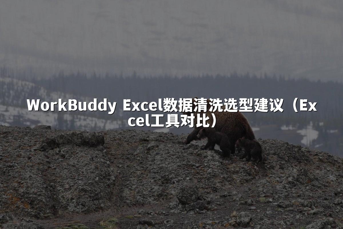 WorkBuddy Excel数据清洗选型建议（Excel工具对比）