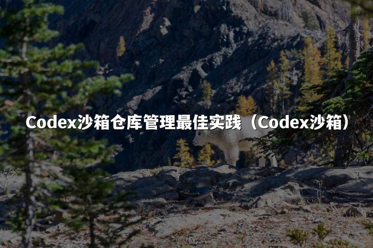 Codex沙箱仓库管理最佳实践(Codex沙箱)