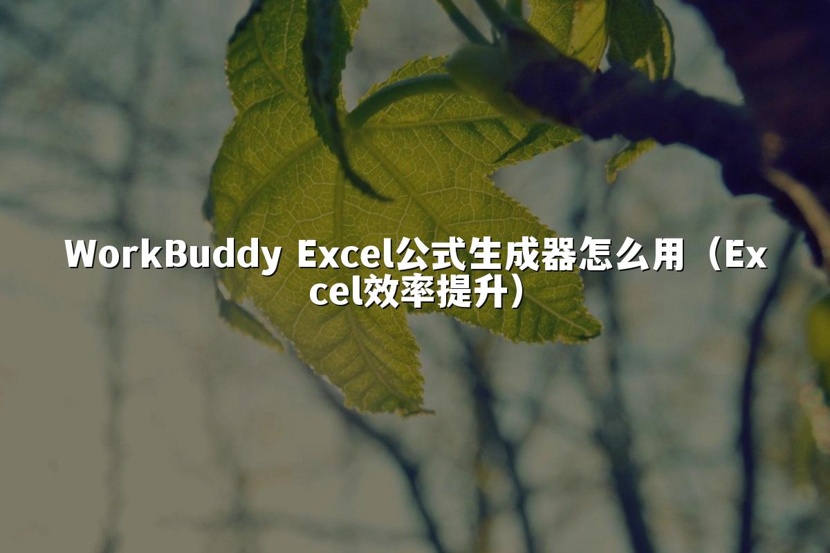 WorkBuddy Excel公式生成器怎么用（Excel效率提升）