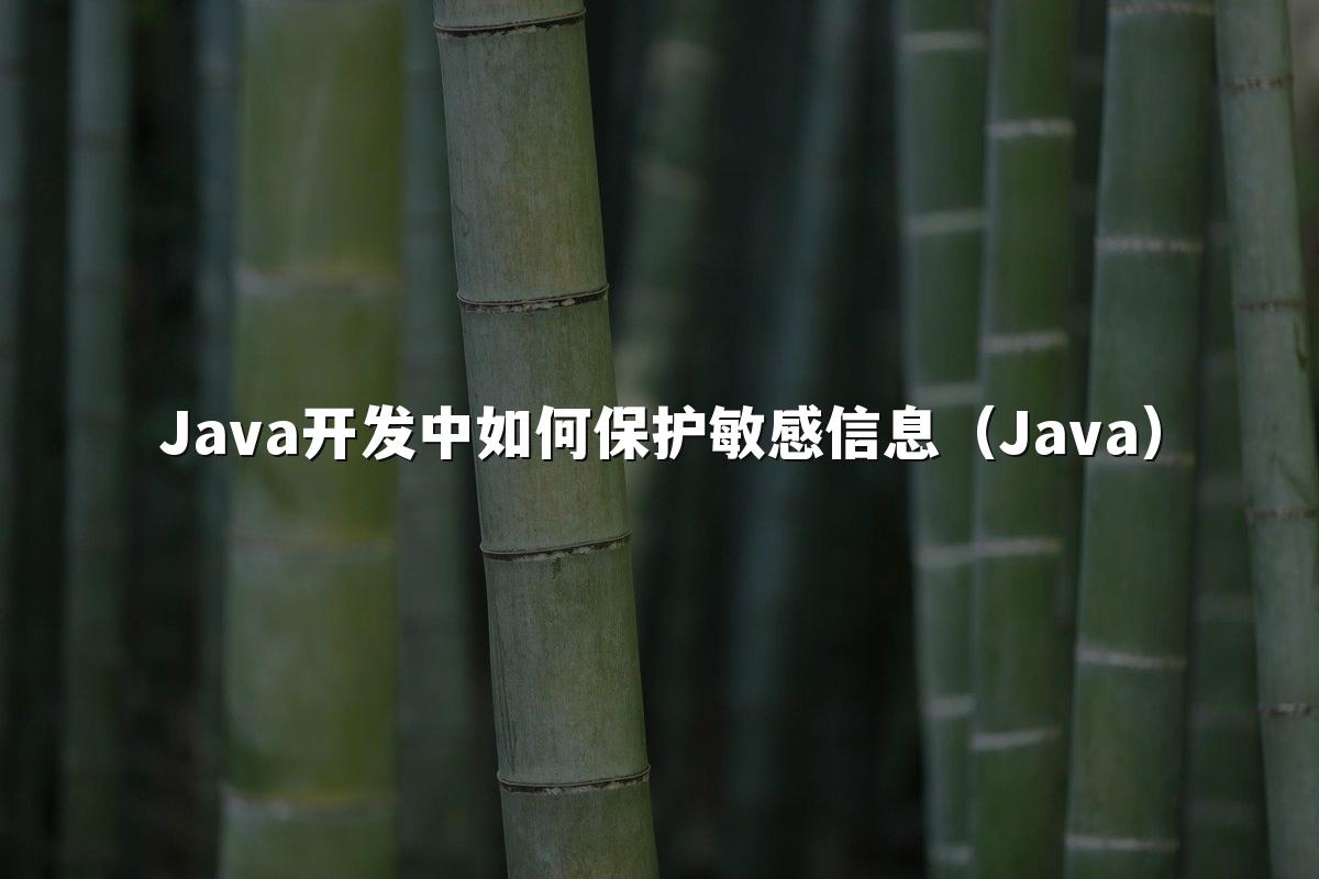 Java开发中如何保护敏感信息（Java）