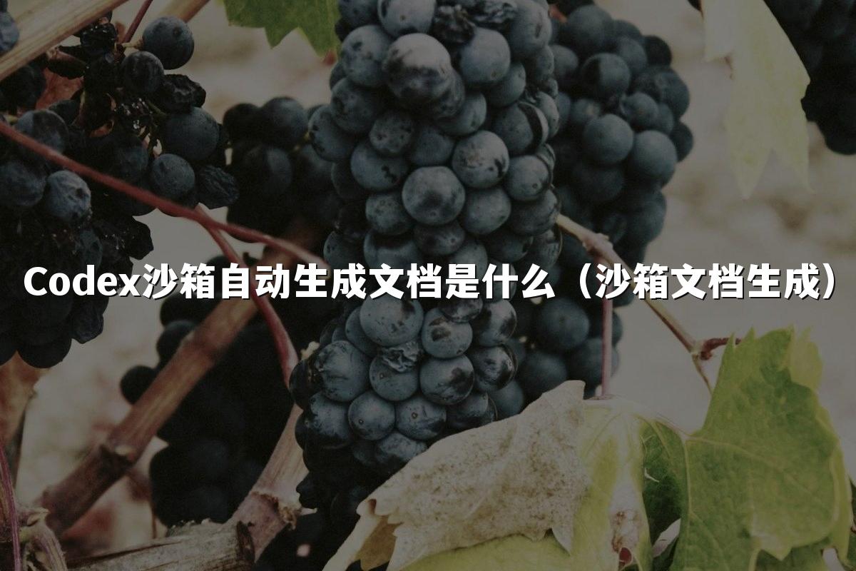 Codex沙箱自动生成文档是什么（沙箱文档生成）