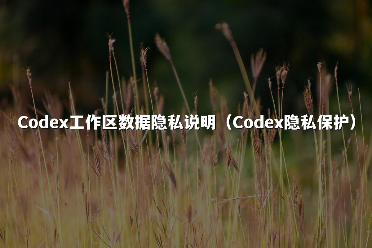 Codex工作区数据隐私说明（Codex隐私保护）
