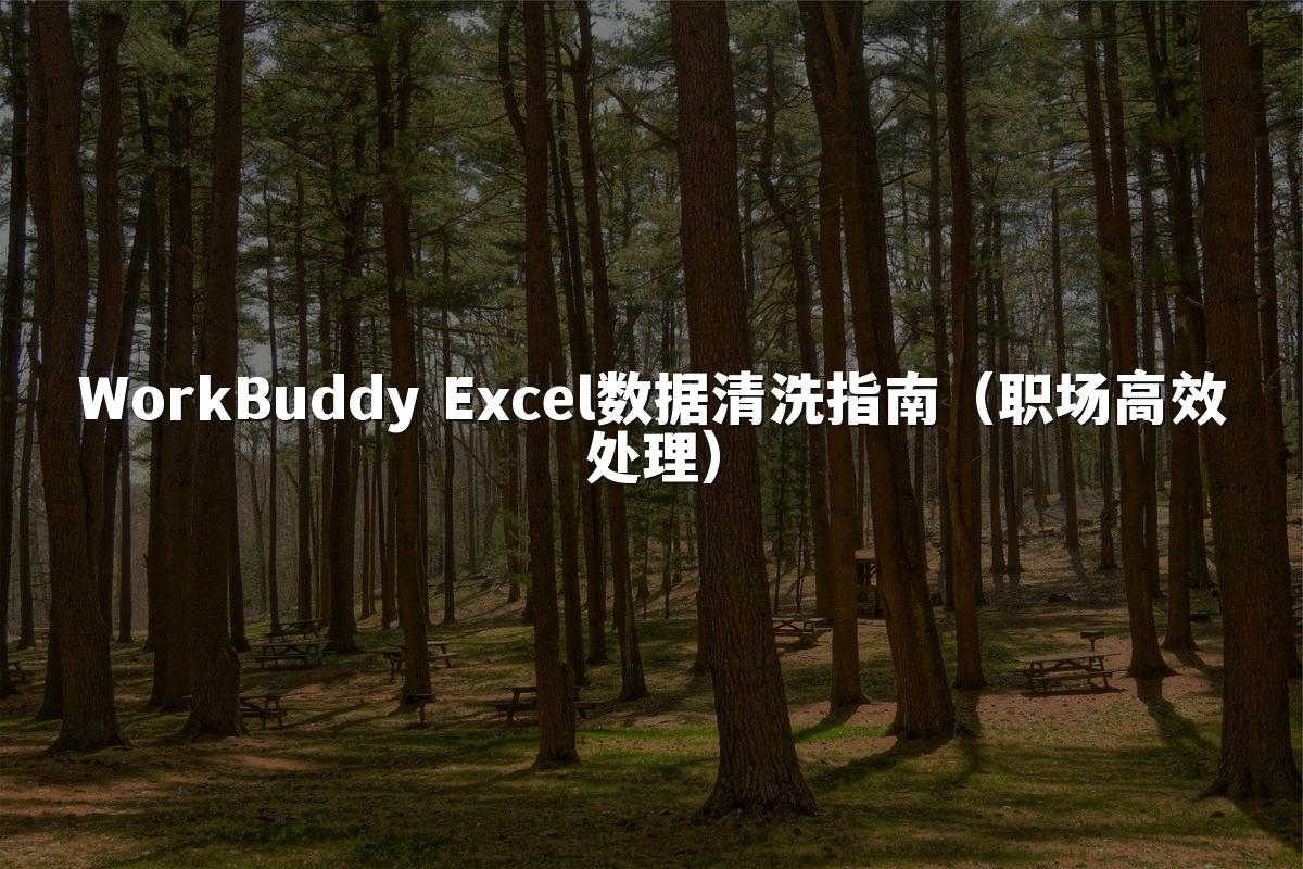 WorkBuddy Excel数据清洗指南(职场高效处理)