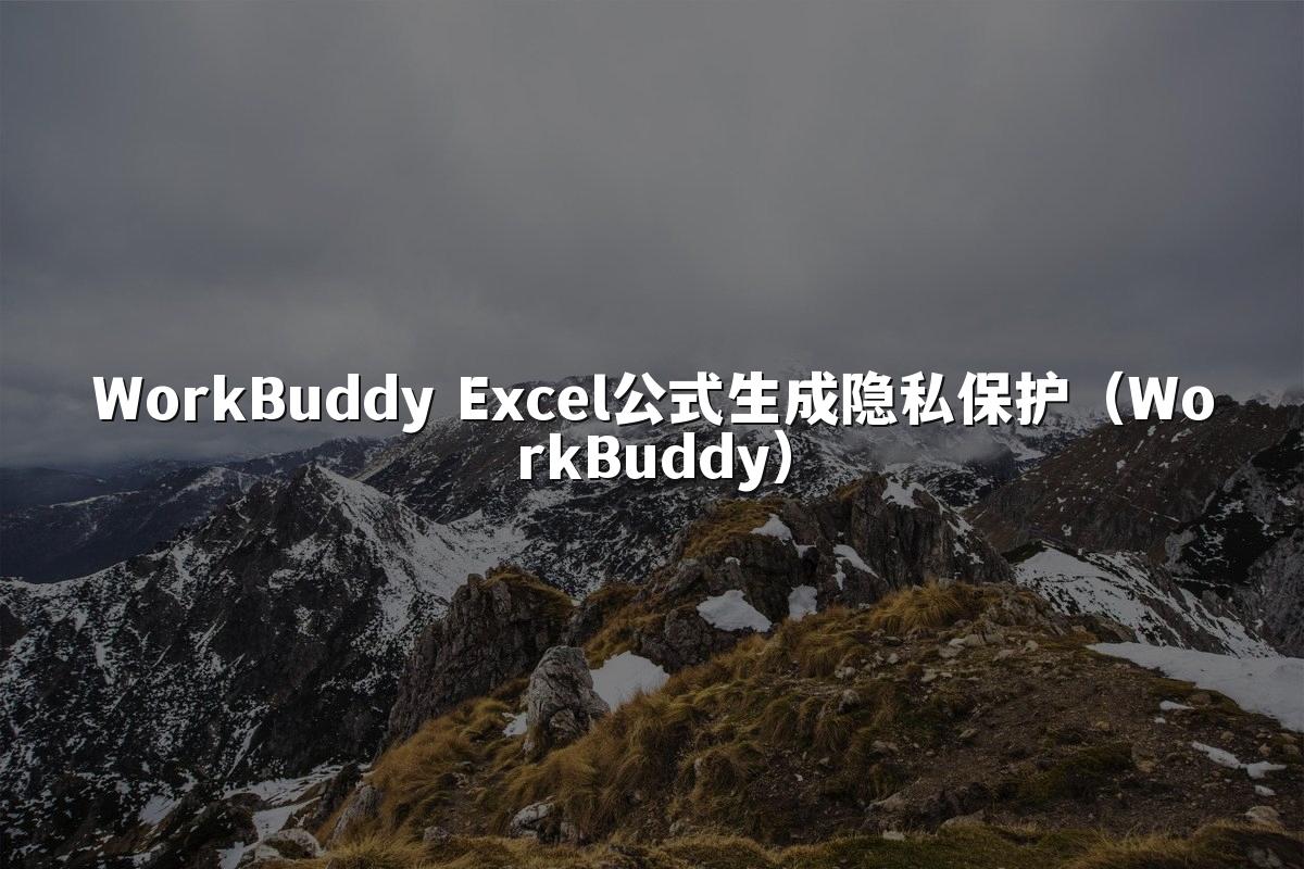 WorkBuddy Excel公式生成隐私保护（WorkBuddy）